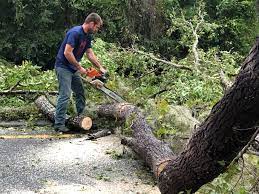 Best Hazardous Tree Removal  in Highland On The Lake, NY